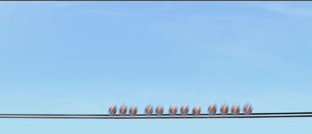 File:Carsforthebirds.jpg