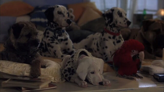 File:102-dalmatians-disneyscreencaps com-4933.jpg