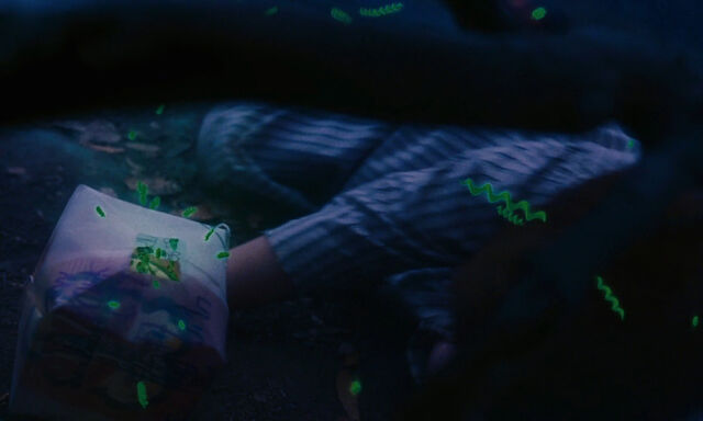File:James-giant-peach-disneyscreencaps com-1522.jpg