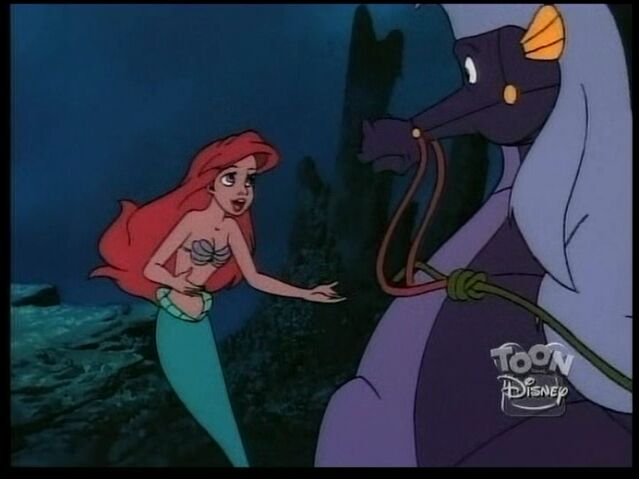 File:StormySeahorse81.jpg