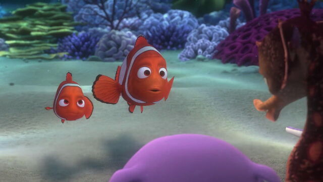 File:Finding-nemo-disneyscreencaps.com-808.jpg