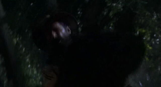 File:Mighty-joe-young-disneyscreencaps.com-683.jpg