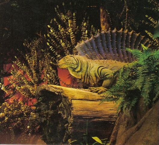 File:Disney world dimetrodon.jpg
