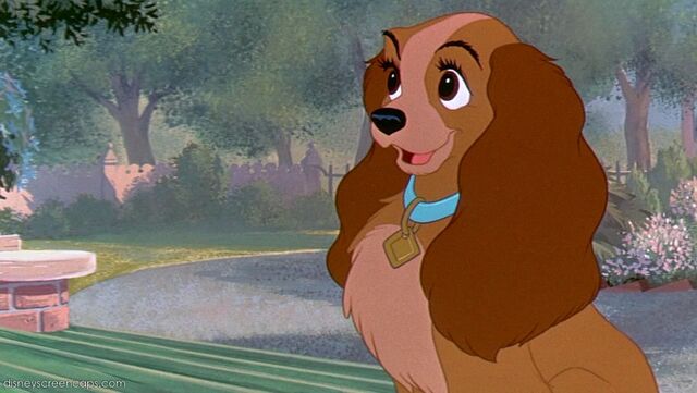 File:Tramp-disneyscreencaps.com-1216.jpg