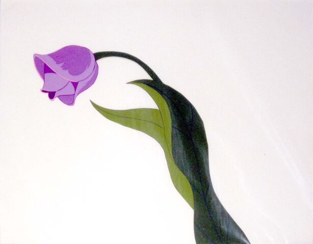 File:Tulip cel blog.jpg