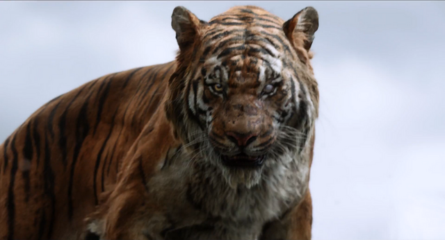 File:Jungle Book 2016 42.png
