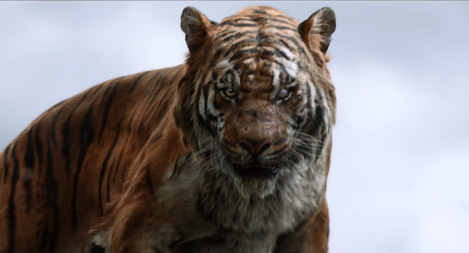 Image - Jungle Book 2016 42.png | Disney Wiki | Fandom powered by Wikia