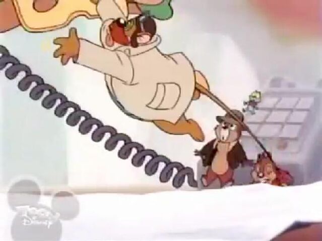 File:Montygo2.jpg