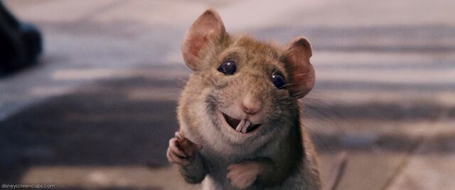 File:Chihuahua-disneyscreencaps.com-4861-1-.jpg