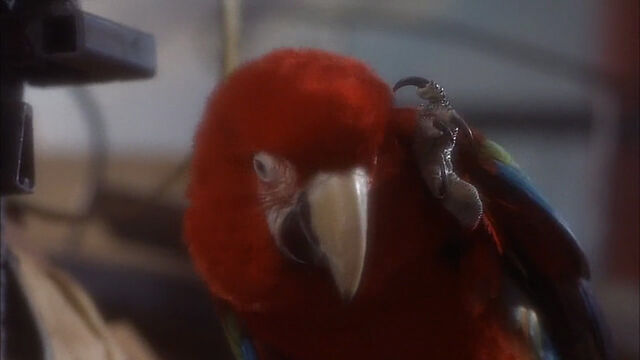 File:102-dalmatians-disneyscreencaps com-802.jpg