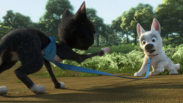 File:Bolt-disneyscreencaps.com-4498.jpg