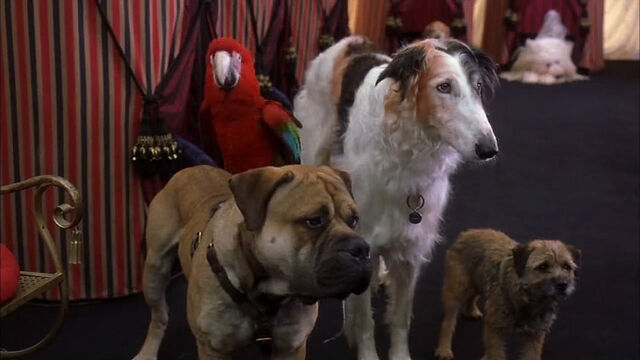 File:102-dalmatians-disneyscreencaps com-5764.jpg
