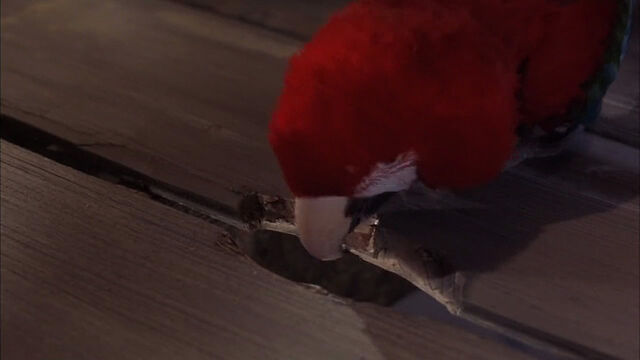 File:102-dalmatians-disneyscreencaps com-8783.jpg
