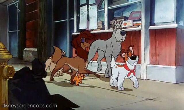 File:Oliver-disneyscreencaps.com-3155.jpg