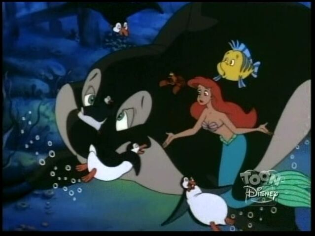 File:Savethewhale151.jpg