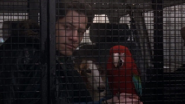 File:102-dalmatians-disneyscreencaps com-5905.jpg