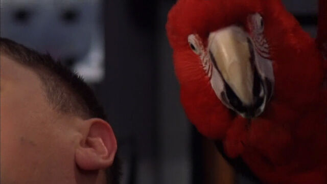 File:102-dalmatians-disneyscreencaps com-7511.jpg