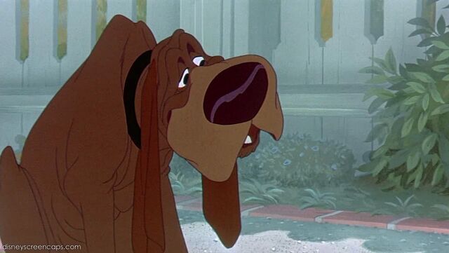File:Tramp-disneyscreencaps com-2304.jpg