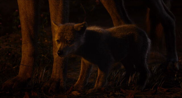 File:Jungle-book-2016-disneyscreencaps.com-9687.jpg