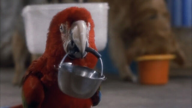 File:102-dalmatians-disneyscreencaps com-955.jpg