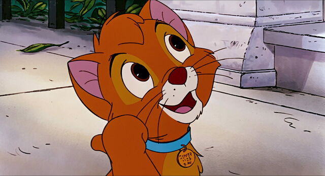 File:Oliverandcompany 1175.jpg