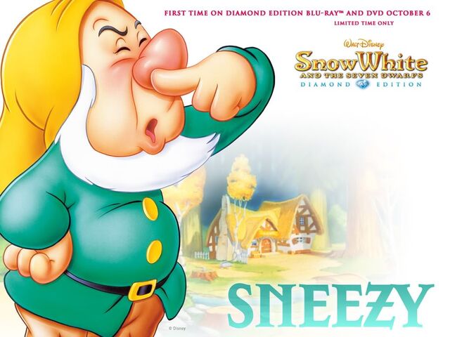 File:Swsnzwllpr.jpg
