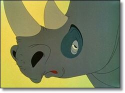 Rhinocerous