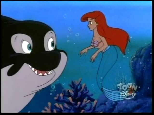 File:Savethewhale45.jpg