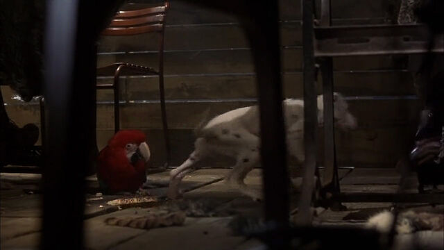 File:102-dalmatians-disneyscreencaps com-9084.jpg