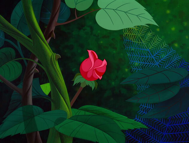 File:Alice-in-wonderland-disneyscreencaps.com-3499.jpg