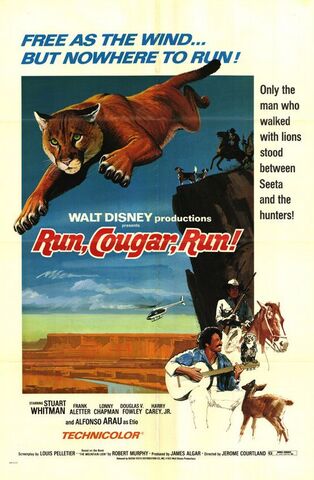 File:Run, Cougar Run.jpg