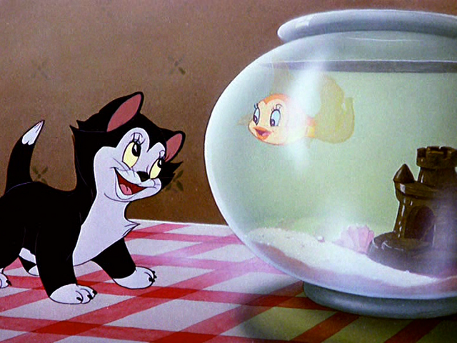 File:Tumblr myuso5VTnp1r3jmn6o1 1280.png