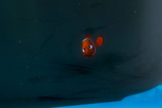 File:Findingnemo0147.jpg