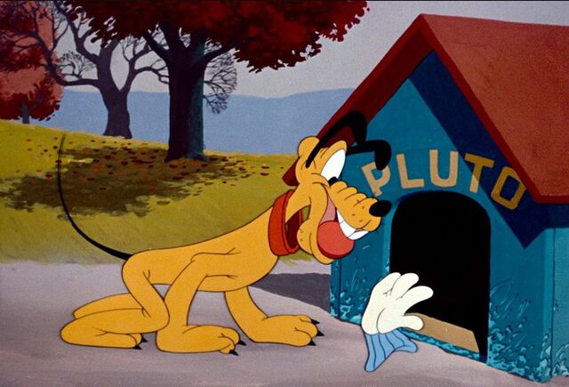 File:Pluto trying to make fetch happen.jpg