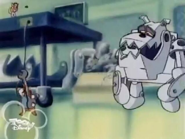 File:CNIrobotdogs182.jpg