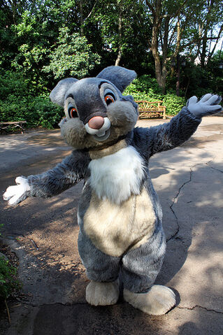 File:Thumper DP.jpg