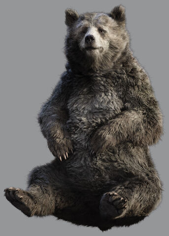 File:Baloo 1.jpg