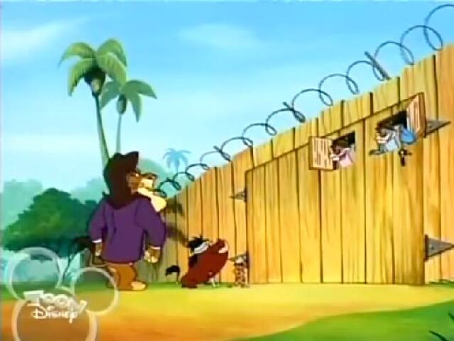 File:Lion so.jpg