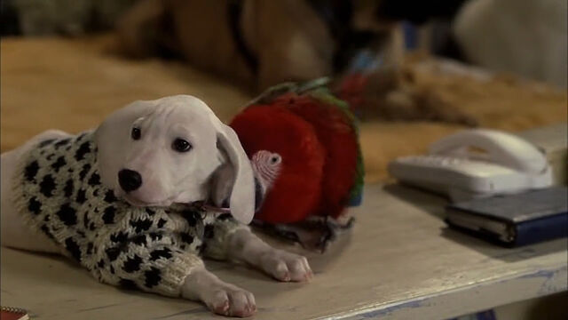 File:102-dalmatians-disneyscreencaps com-4760.jpg