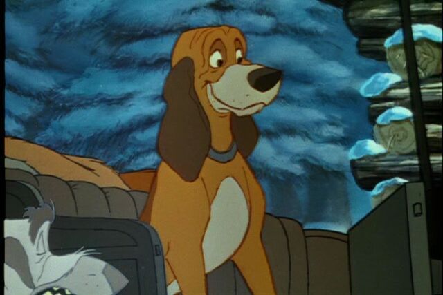 File:Copper Sitting.jpg