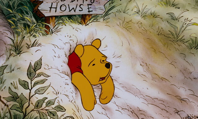 File:Winnie the Pooh has gotten stuck.jpg