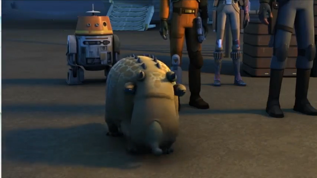 File:Puffer Pig.png