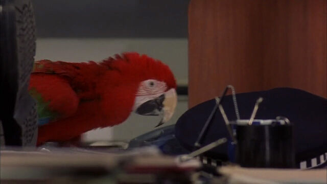 File:102-dalmatians-disneyscreencaps com-7517.jpg