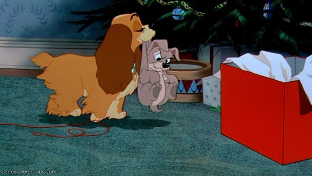 File:Tramp-disneyscreencaps.com-8529.jpg