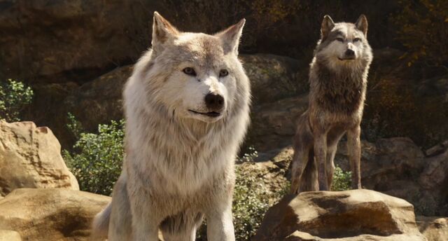 File:Jungle Book 2016 105.jpeg