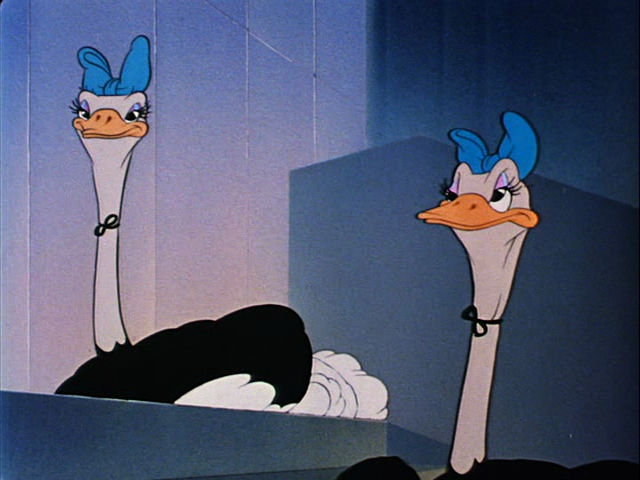 File:Tumblr nio2e0Xnx01r3jmn6o1 1280.png
