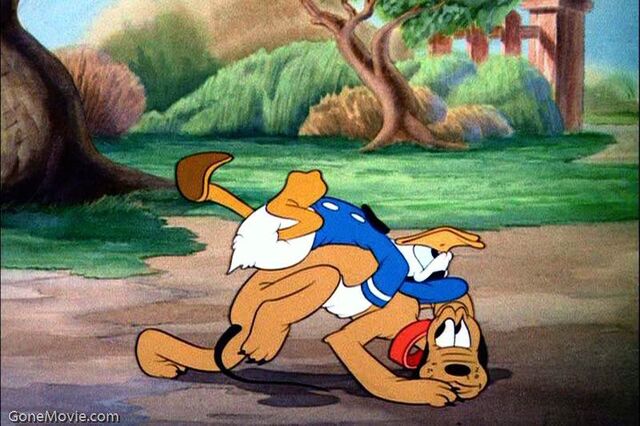 File:DisneyDonaldLaundry.jpg