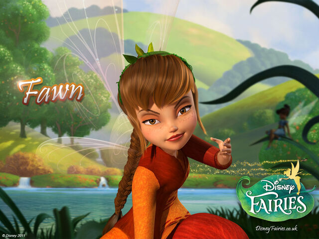 File:Fawn 1024x768.jpg