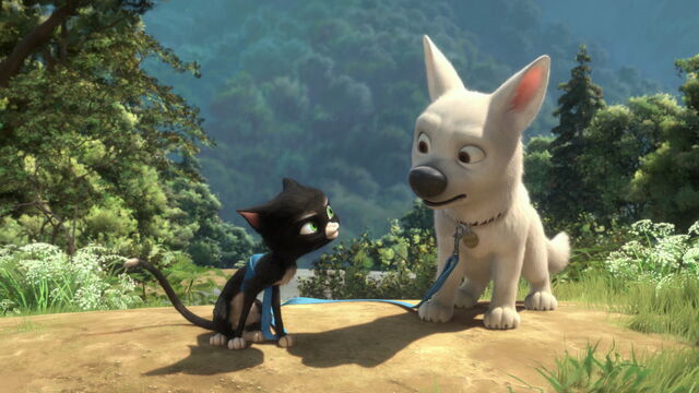 File:Bolt-disneyscreencaps.com-4668.jpg