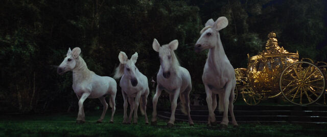 File:Cinderell-2015-disneyscreencaps.com-5752.jpg